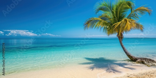 Serene beach with crystal-clear waters and a palm tree in the foreground