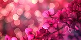 Pink bokeh background with soft light, ideal for festive or romantic themes.