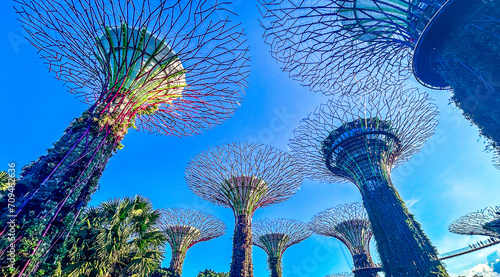 Supertree Grove at Gardens by the Bay from below angle. photo