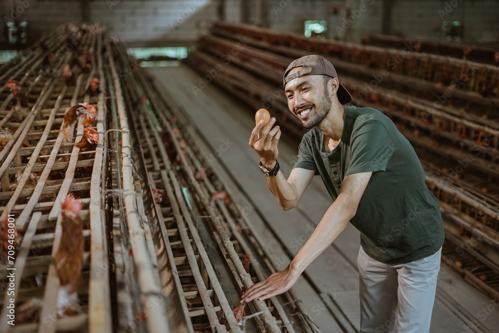 male chicken farmer holding and looking at eggs during harvest at the chicken farm male chicken farmer holding and looking at eggs during harvest at the chicken farm