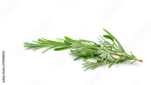 Sprig of laverder isolated on white background.