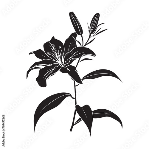Silhouette Of Lily Flower isolated on white. Minimalist Illustration Style