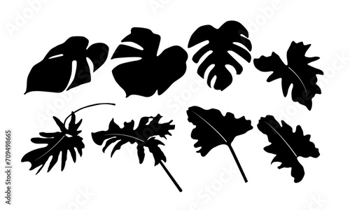 silhouette Monstera deliciosa set	