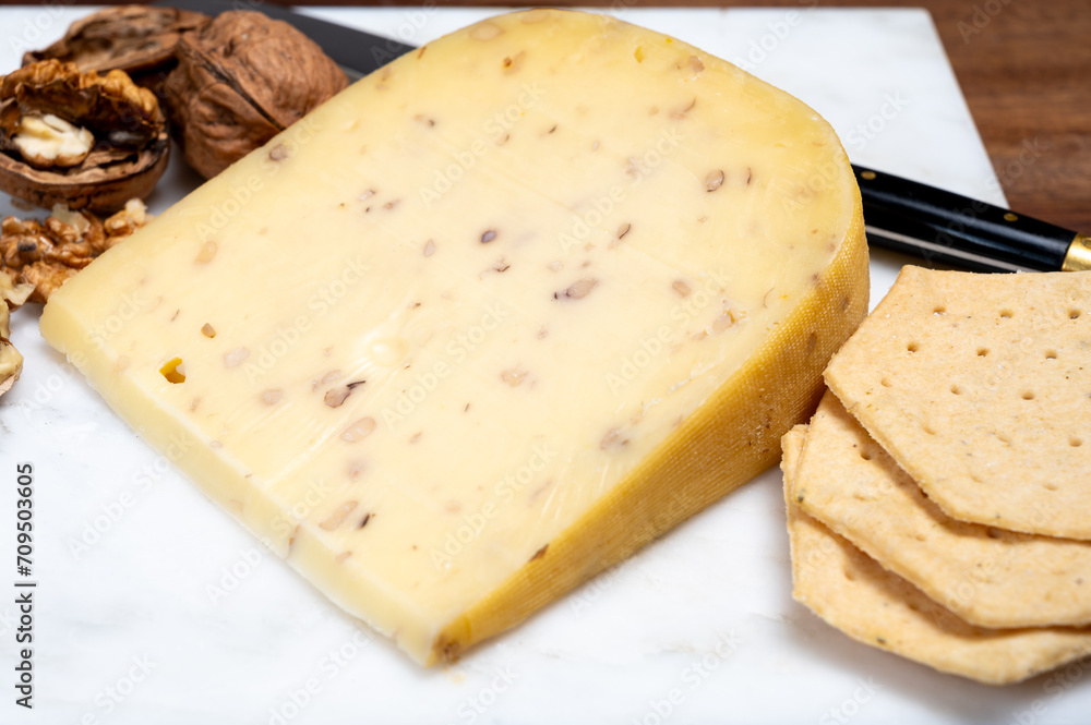 Piece of Dutch Gouda cheese made from cow milk with added walnuts close up