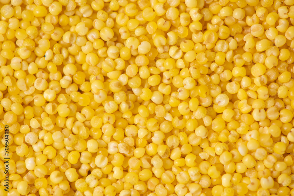 Background of raw millet seeds close up. Millet seeds texture. Background of raw millet seeds close up. Millet seeds texture.