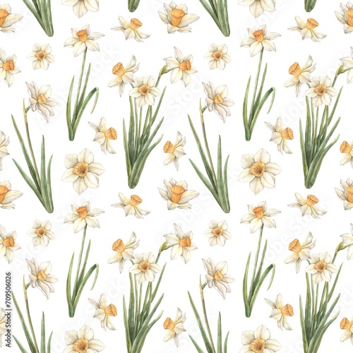 Watercolor pattern on a white background with yellow beautiful daffodils. Easter holiday illustration hand drawn. Sketch on isolated background for greeting cards, invitations, happy holidays