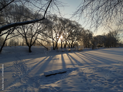  Dawn on a winter morning in a snow-covered park.