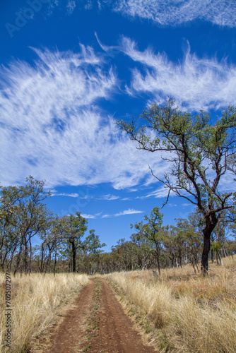 A track leading into grass and open woodland with a blue sky with Cirrus clouds in Mt Moffatt National Park in Queensland, Australia. photo