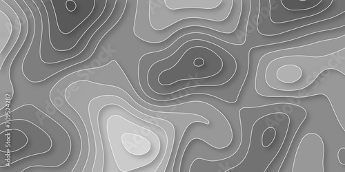 Abstract papercut topographic background. Gray white topographic map. Abstract realistic papercut decoration textured with wavy layers. Multilayers vector pattern