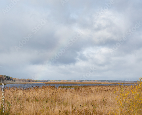 Sunny landscape image from Finland during autumn day.