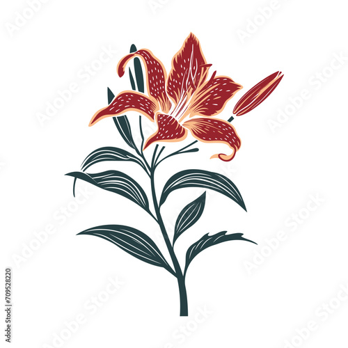 Luxury Lily Flowers Blooming: Trendy Vector Botanical Elements with Hand-Drawn Line Leaves, Branches, Lily Blooms in Colored Silhouette Illustration