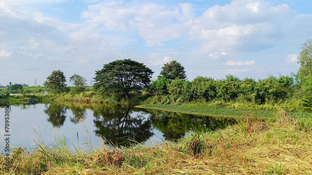 Fototapeta premium Forest pond in summer nature and sky