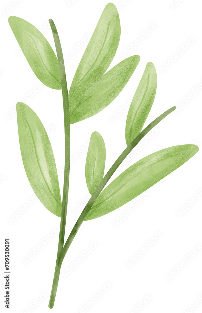 Obraz premium Bamboo leave watercolor