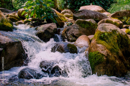 Poço do Tarzan is a beautiful waterfall located in Paraty - RJ photo