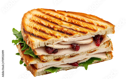 Turkey and Cranberry On Transparent Background.