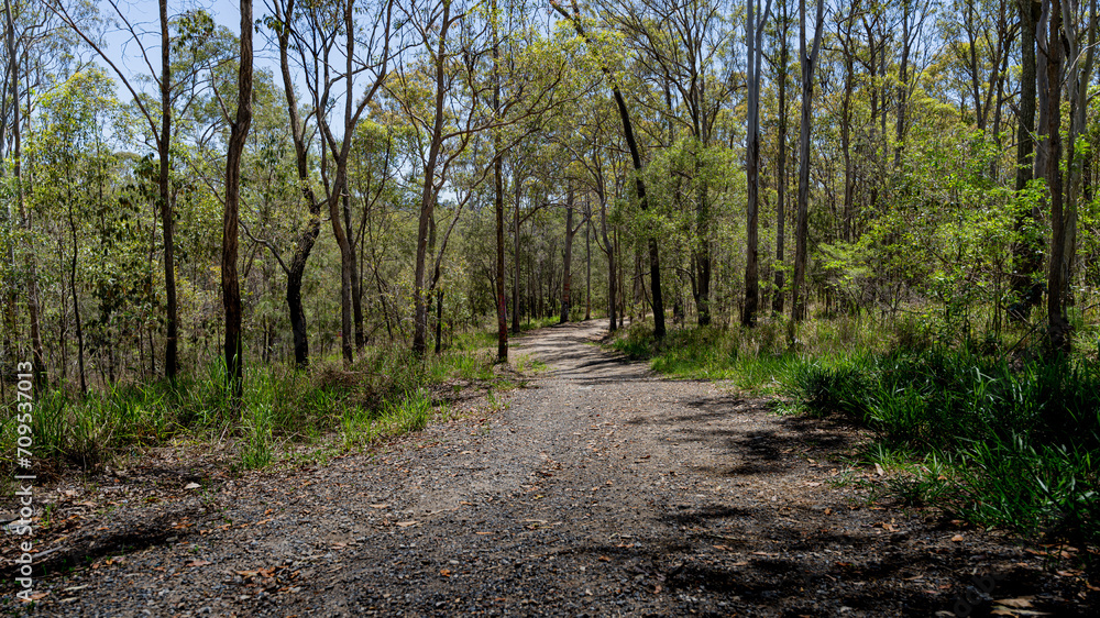 Fototapeta premium Activity Cresent Reserve, Queensland, 2023