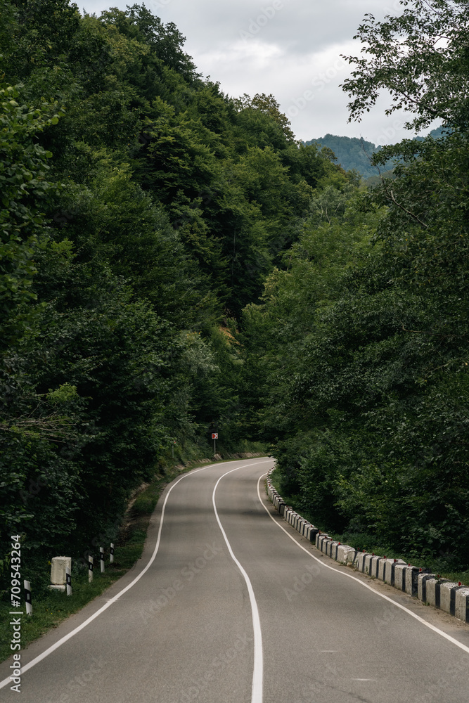 Fototapeta premium mountain road surrounded by forest