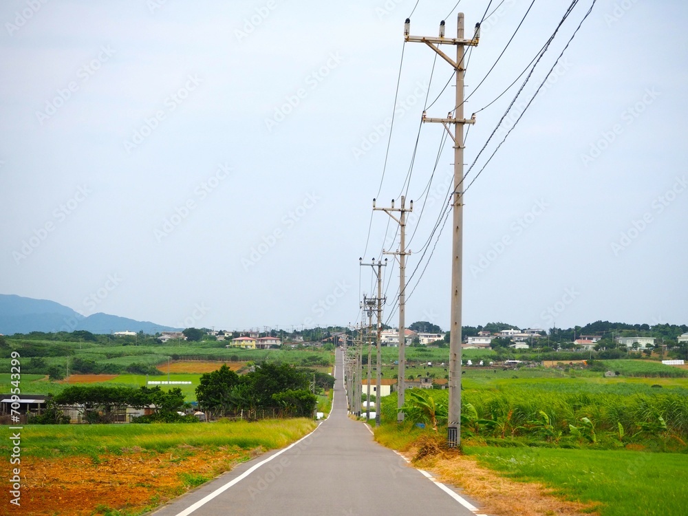 Sugar Road, across an idyllic landscape of cattle pastures and sugarcane fields Sugar Road, across an idyllic landscape of cattle pastures and sugarcane fields