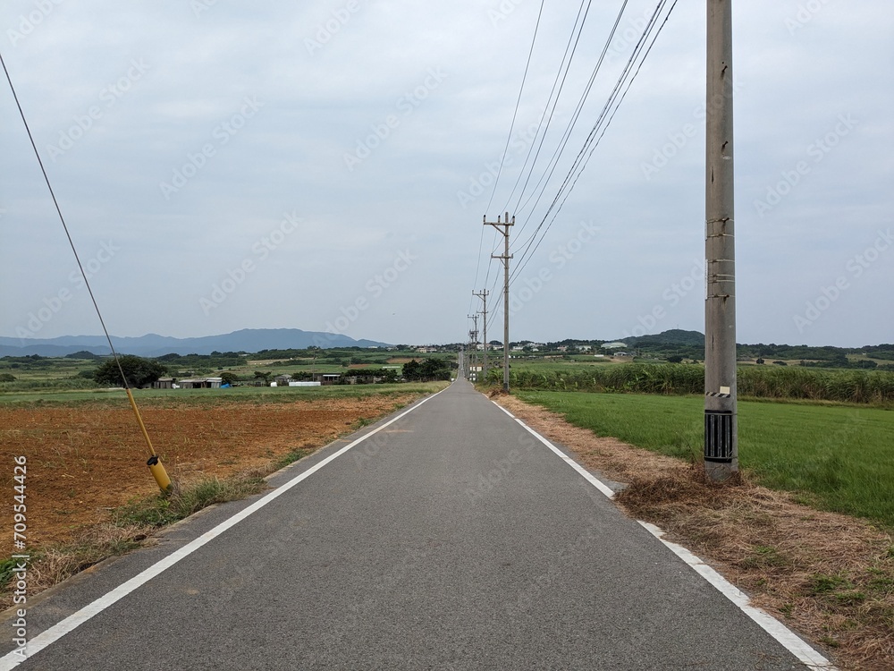 Fototapeta premium Sugar Road, across an idyllic landscape of cattle pastures and sugarcane fields