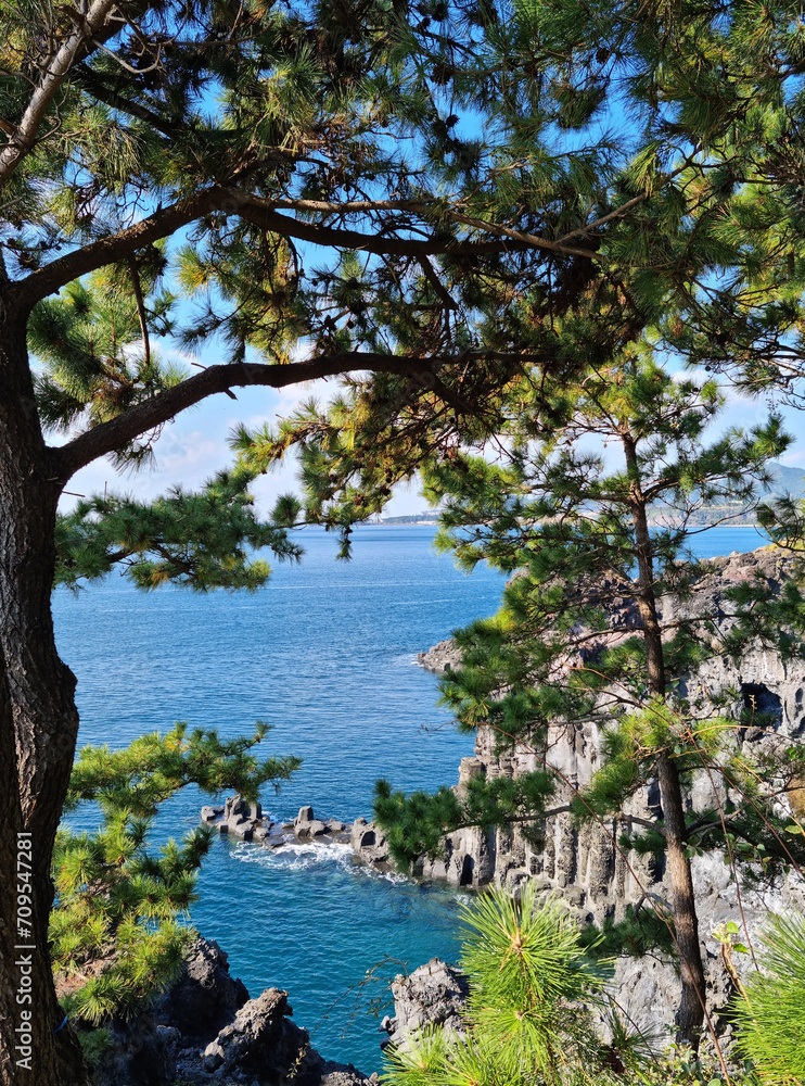 
The scenery of columnar joints seen between the trees.