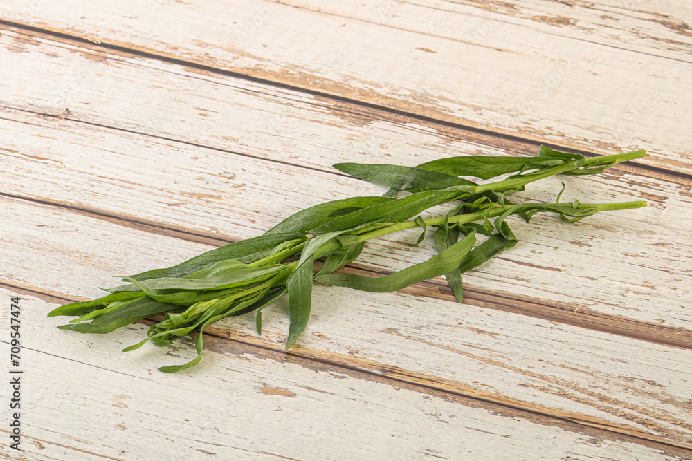 Green tarragon herb spice for cooking Green tarragon herb spice for cooking