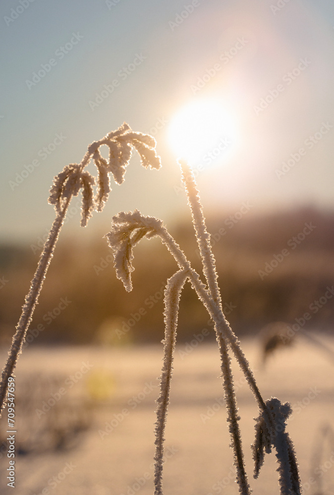 Fototapeta premium Wintry landscape wallpaper image from Finland on a very cold winter day. Frosty nature concept image with animal tracks and flare effect added.