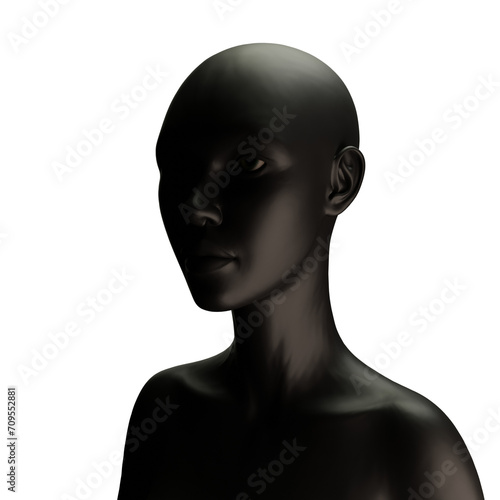 3d rendering woman afro from african style 