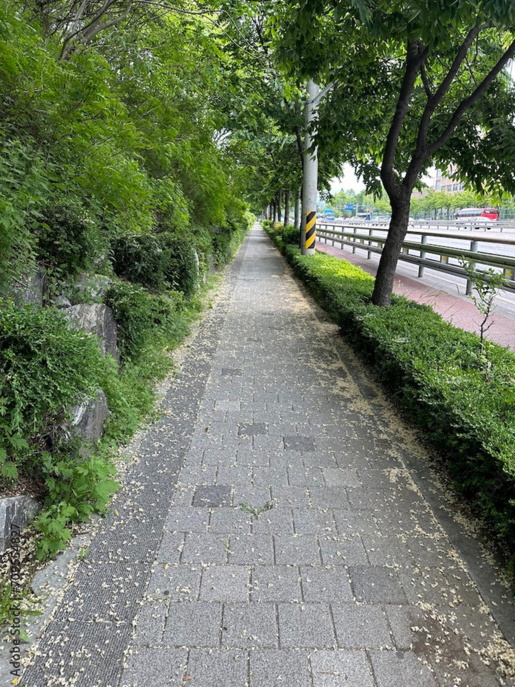side walk