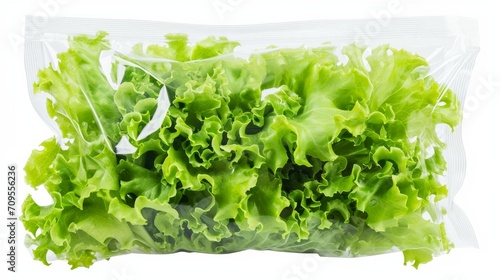 isolated plastic transparent vacuum bag with fresh salad lettuce 