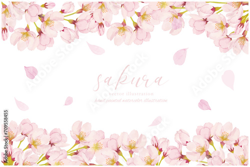 水彩で描いた満開の桜の背景素材