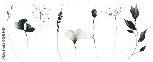 Watercolor floral set of black, gray, brown wild flowers, spikelets, ginko biloba leaves, branches, twigs. Traced vector