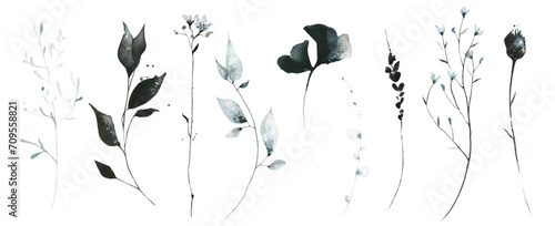Watercolor floral set of black, gray, blue wild flowers, herbs, spikelets, branches, twigs. Traced vector drawing.