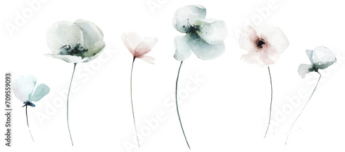 Watercolor floral set of blue, gray, pink poppy, rose, peony flowers. Traced vector watercolour clipart drawing.