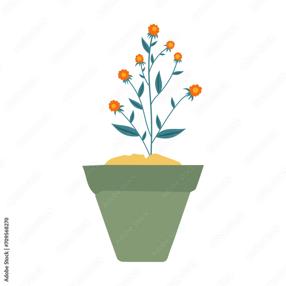pot in green color with flowers plant