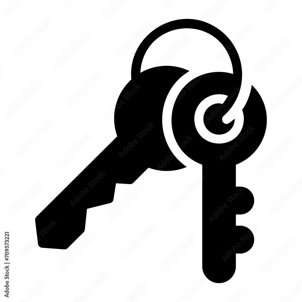 keys Solid icon