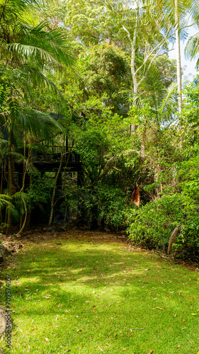 Tamborine Rainforest Skywalk, Tamborine Mountain, Queensland, 2023