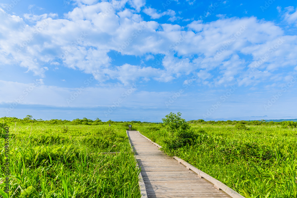 Obraz premium 大自然の香り サロベツ原野を望む 