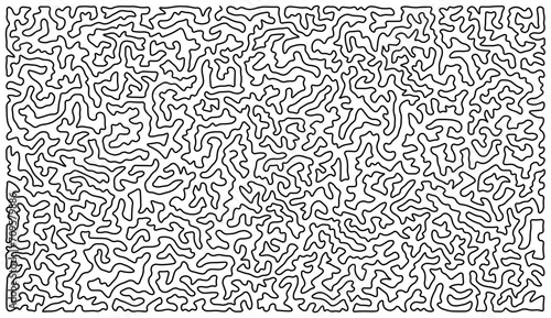 Continuous line abstract squiggle pattern. Created using the Traveling Salesman Problem algorithm which finds the shortest route that visits all points. photo