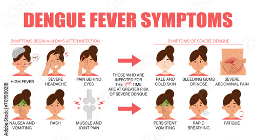 Symptoms of dengue fever vector isolated. Tropical infectious disease from mosquito insect bite. Skin rash, sickness, nausea and headache.