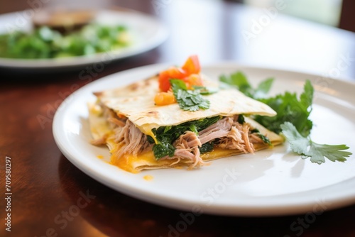 quesadilla with pulled pork, cilantro garnish