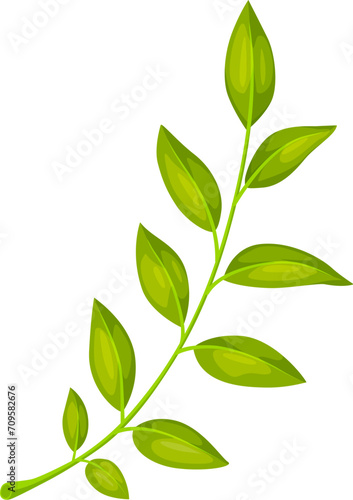 Green leaf, isolated cartoon vector tree, garden flower or forest plant foliage, radiating freshness and beauty of spring and summer nature. Floral element, twig, branch or stem on white background