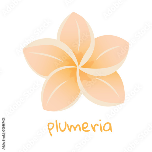 Plumeria illustration. Vibrant tropical flower. Realistic botanical hand drawn painting isolated on white background. Cartoon design for poster, icon, card, logo, label, banner, sticker.