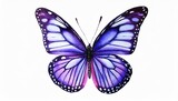 purple butterfly hand drawn watercolor illustration object on a white background for decoration and design