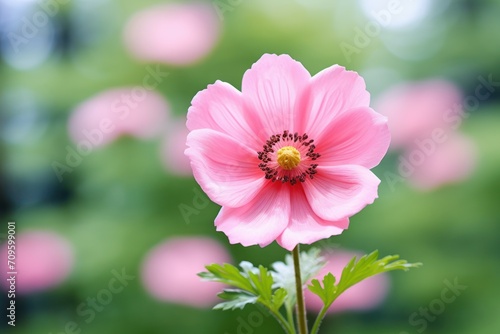  a close up of a pink flower with a blurry background of green leaves and flowers in the foreground.