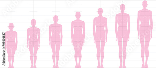 前から見た人間の身長バランス。
6頭身7頭身8頭身9頭身の
女性体形のイラスト