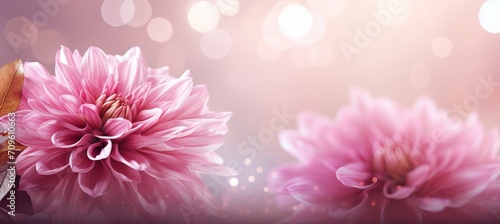 Pink chrysanthemum on right with magical bokeh background and ample space for text placement on left photo