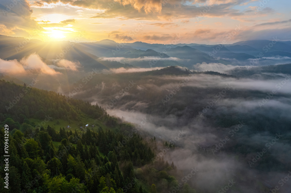 Obraz premium Idyllic landscape in the Alps with fresh green meadows and blooming flowers