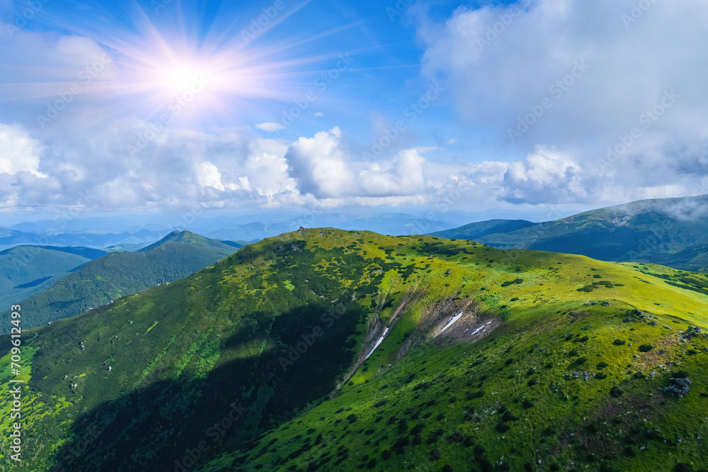 Naklejka premium Idyllic landscape in the Alps with fresh green meadows and blooming flowers