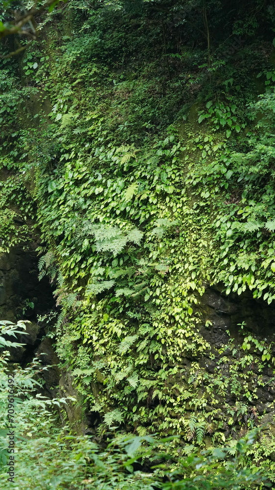 宮崎県 高千穂峡 Miyazaki Takachiho 宮崎県 高千穂峡 Miyazaki Takachiho