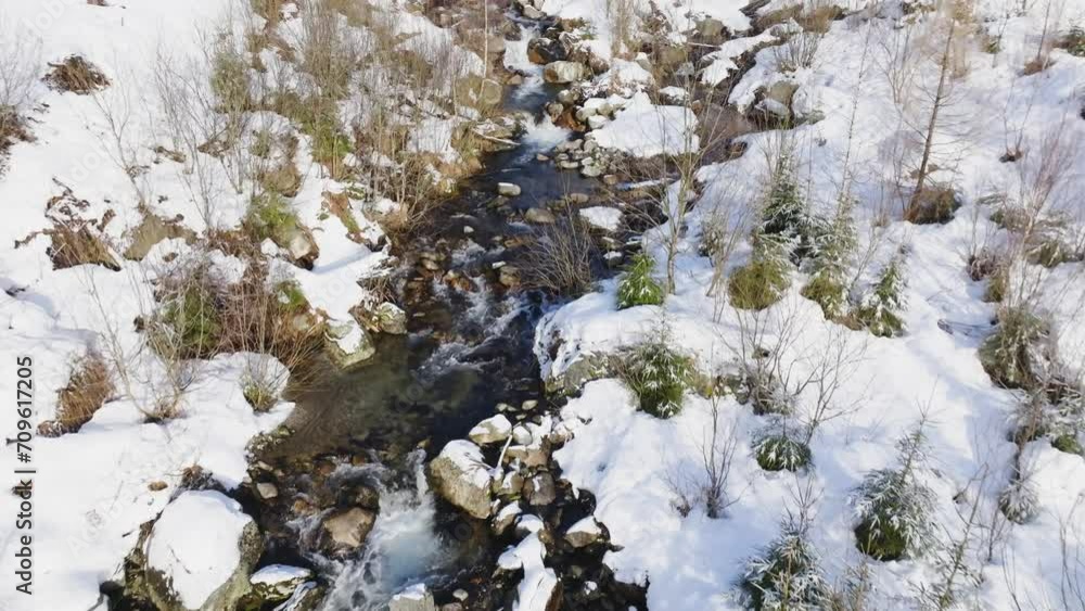 Close flight above wild small mountain river in winter forest with green conifers trees. Cold water in forest river. Exploring beautiful winter landscape with snowy trees. Aerial drone view. Close flight above wild small mountain river in winter forest with green conifers trees. Cold water in forest river. Exploring beautiful winter landscape with snowy trees. Aerial drone view.